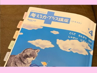 ベネッセ 進研ゼミ小学講座 考える力 プラス講座 を取ってみました 30代共働き会社員 初めてのお受験 小学校受験